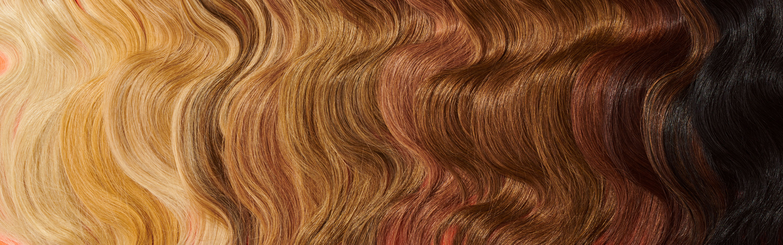 Composite image of hair extensions featuring a gradient of hair colors 